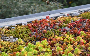 the cost of Birchencliffe green roof installation